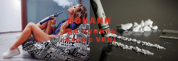 твердый Мегион