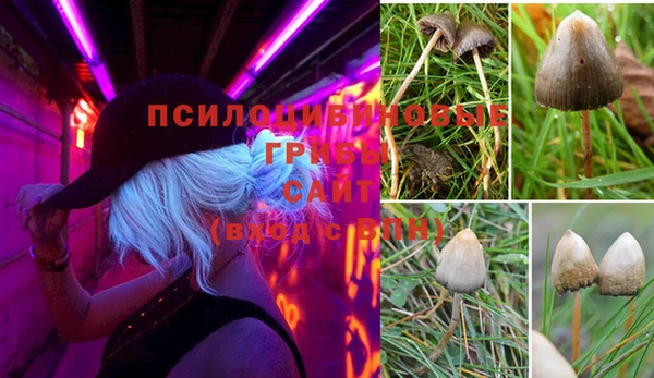 твердый Мегион