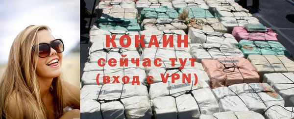 твердый Мегион