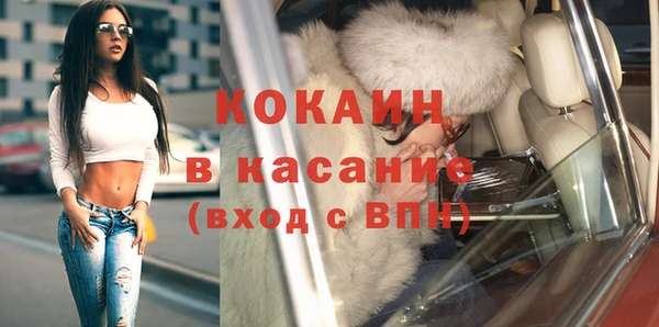 твердый Мегион
