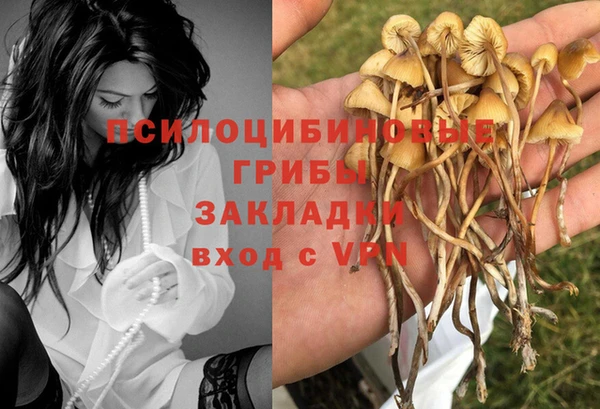 гашишное масло Медвежьегорск