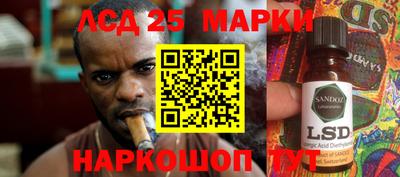 гидра Дубна