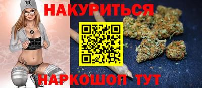 гидра Дубна