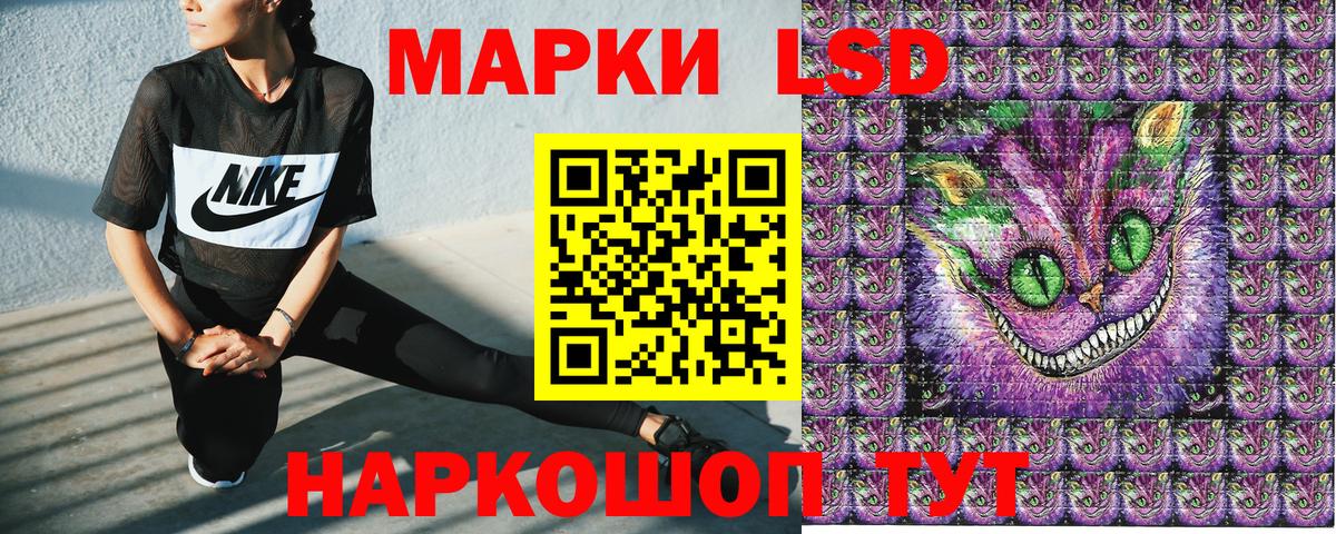 где продают   Вход с VPN  Ногинск  Марки NBOMe 1,5мг  Марки NBOMe 1,5мг  Марки 25I-NBOMe 