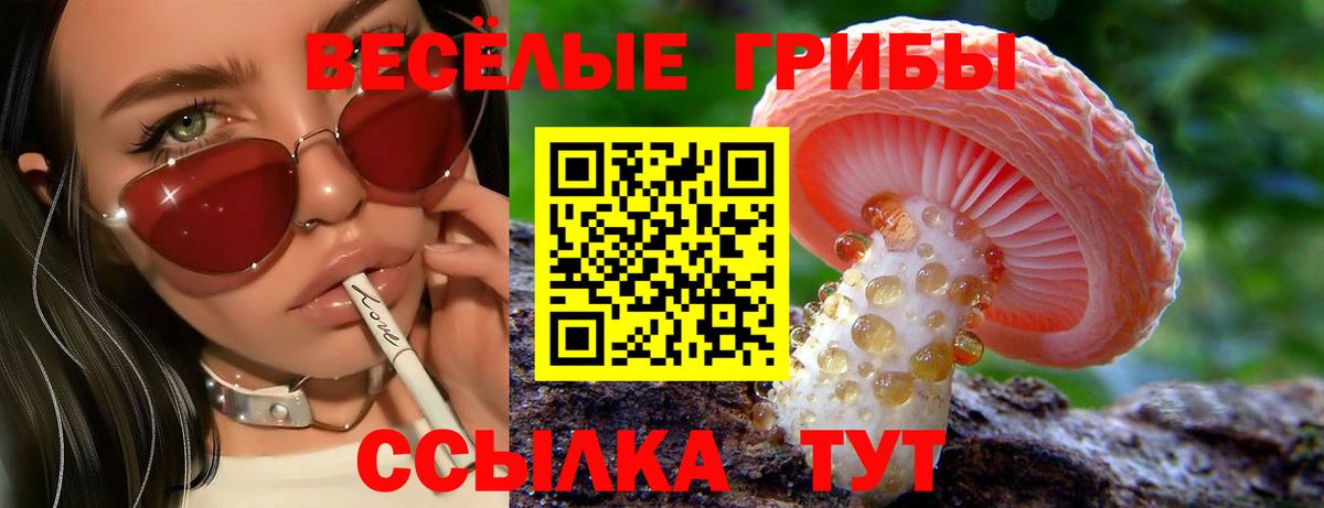 Ногинск  Галлюциногенные грибы Psilocybine cubensis  Псилоцибиновые грибы Psilocybine cubensis  Вход с VPN 